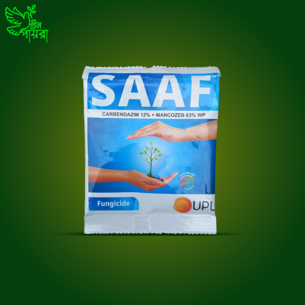 SAAF